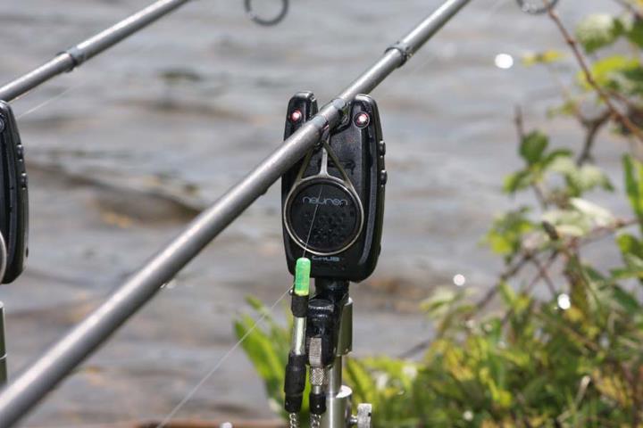 CHUB - 3182112431668423861866714459n.jpg